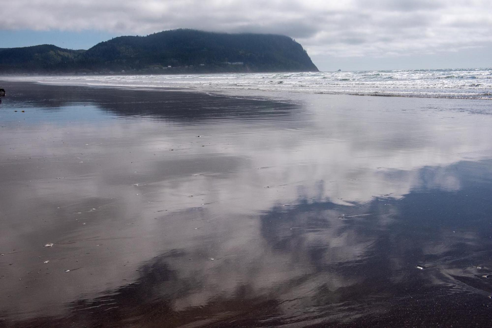 Мотель The Ocean Front At Сисайд Экстерьер фото